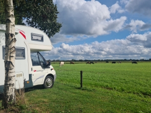 Uitzicht over de weilanden